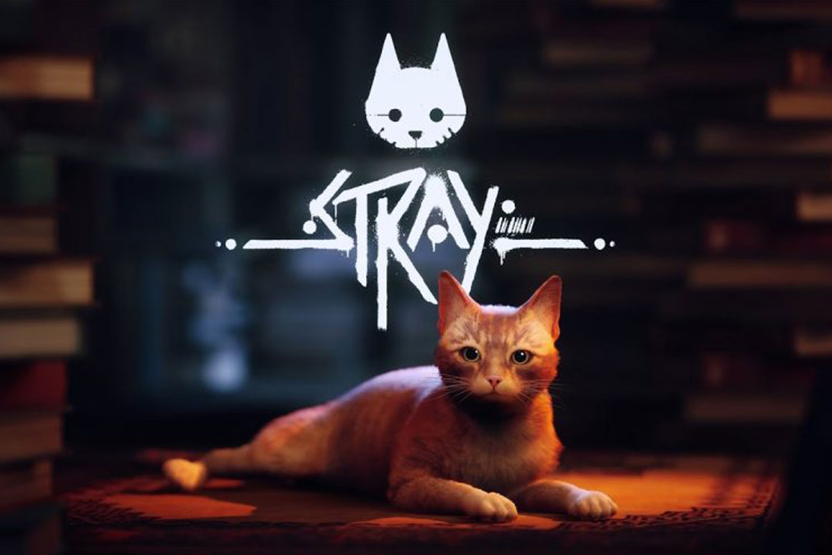 stray jeu ps5