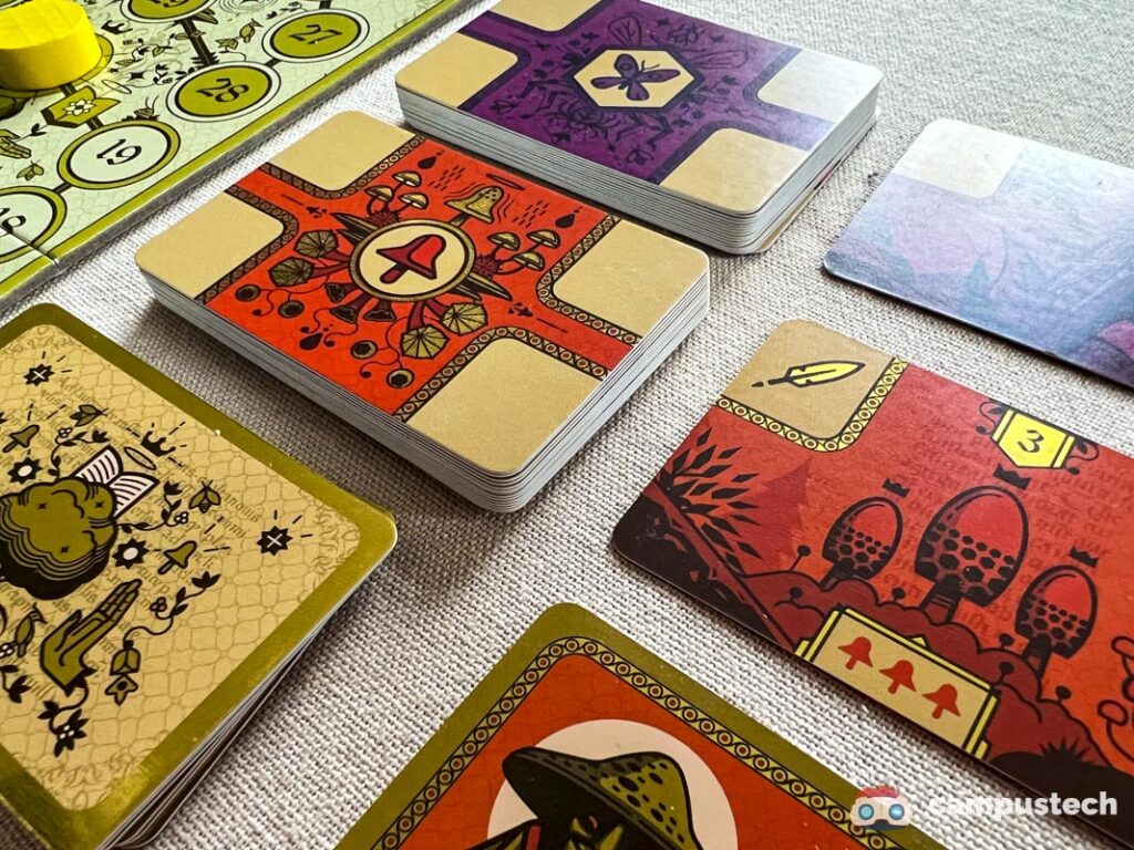 symboles sur les cartes de codex naturalis