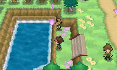 pokemon noir