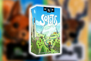 Solstis jeu avis