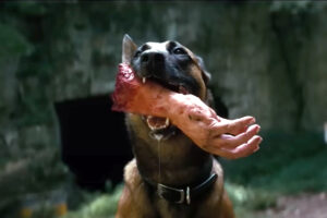 Fallout un chien mange une main