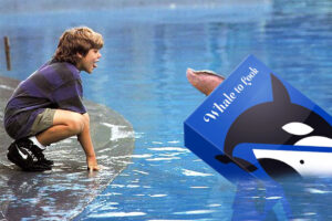 Sauvez Whale to Look