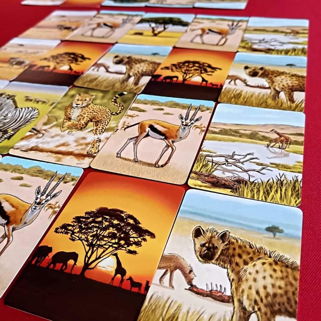 ecosytem savanna