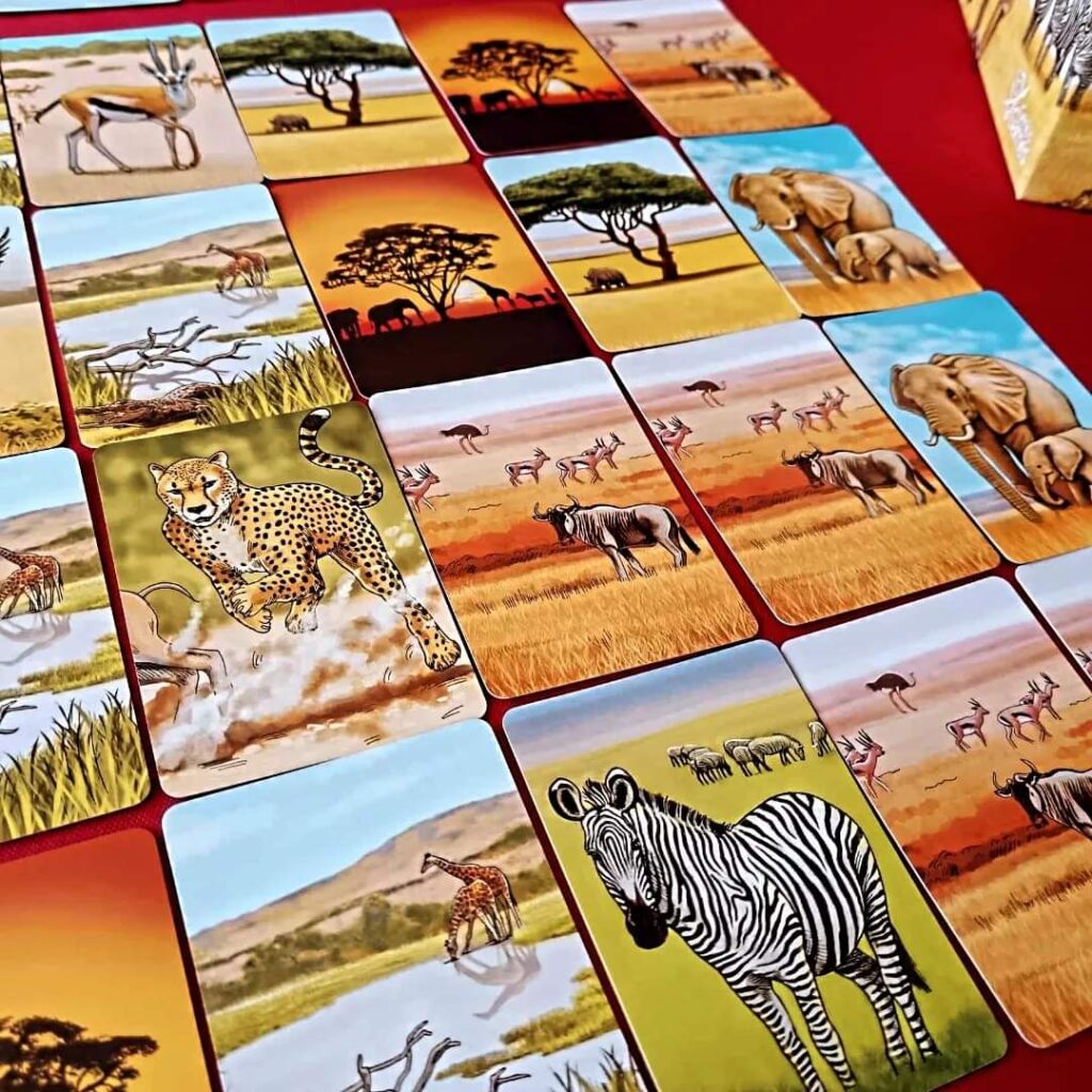 ecosytem savanna