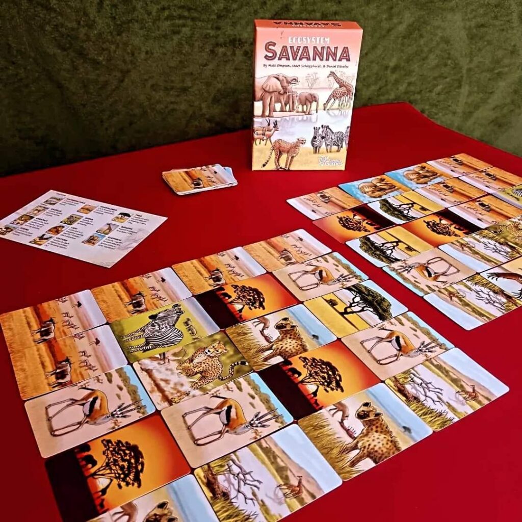 ecosytem savanna