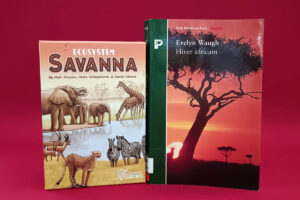 Ecosytem Savanna et Hiver africain