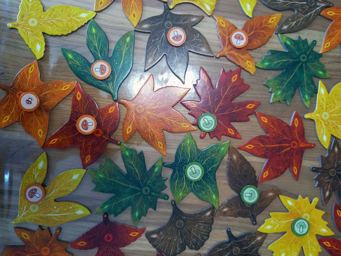 leaf-feuilles-arbre
