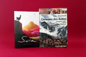 Sierra Caravane des Andes