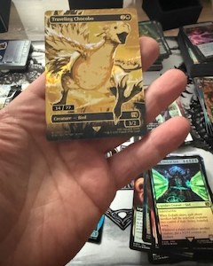 504250696 1254031526726617 5292100782347826267 n