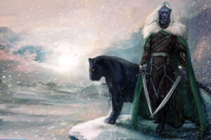 Netflix Drizzt