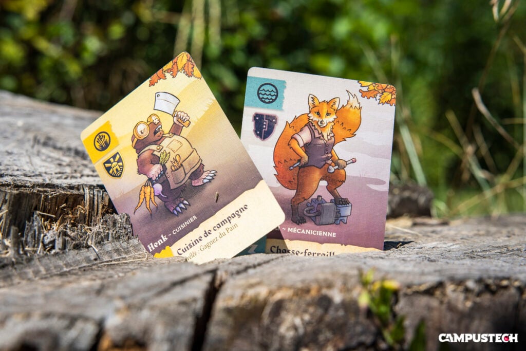 defenders of the wild - cartes
