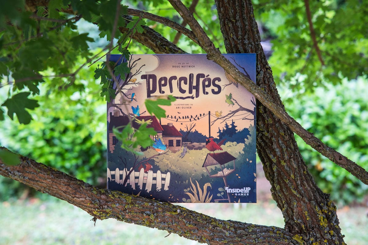 Perchés jeu avis critique