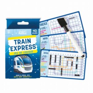 train express professor puzzle