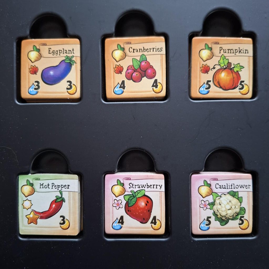 stardew valley