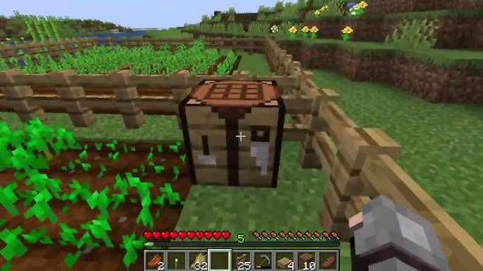 vanilla-minecraft