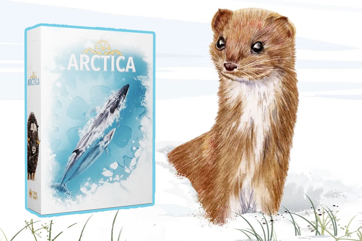 Arctica