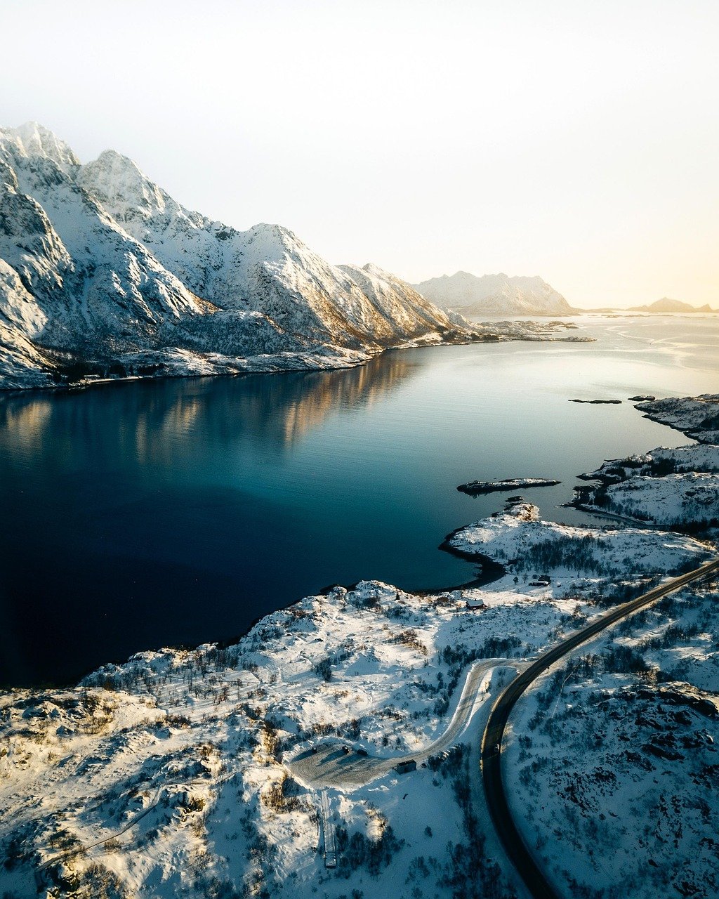 drone nature