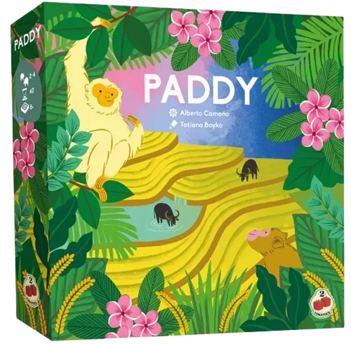 Paddy