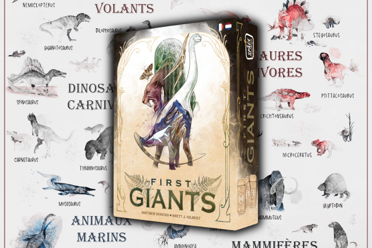 design sans titre 6 1